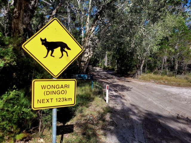 Photo of one of the new signs Rangers installed to help prevent wongari being struck by vehicles.