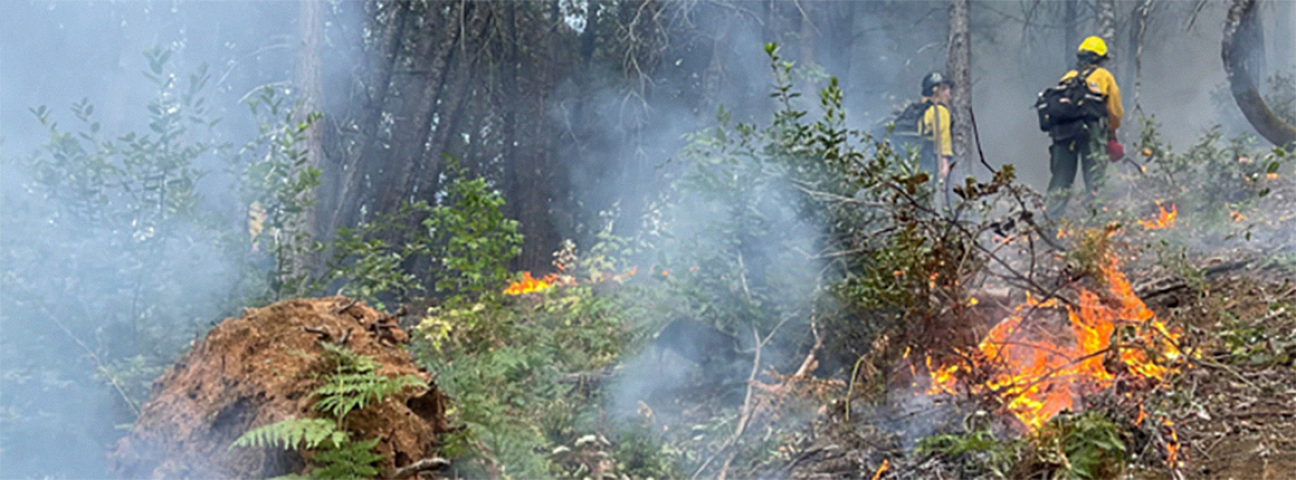 Photo of the steep, hilly country for the cultural burning on Karuk country.