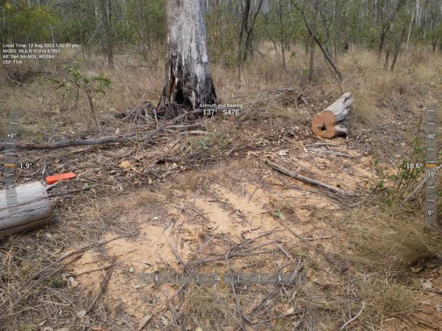 The man allegedly cut up a fallen tree for personal use.