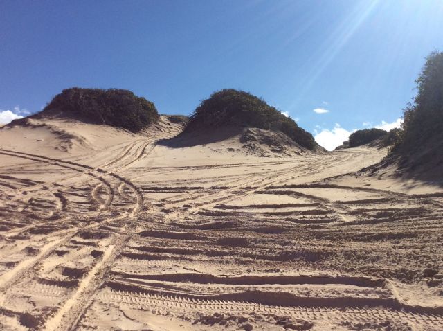 Image showing multiple 4WDs are causing erosion issues at Byfield.