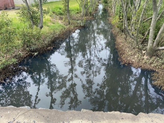 Image of Eagle Farm creek colour returning to normal