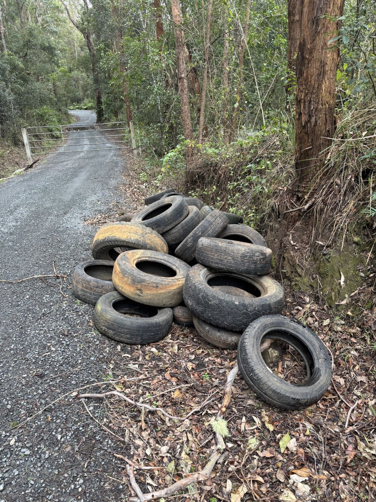 A collection of discarded tires resting on the roadside, partially covered by grass.