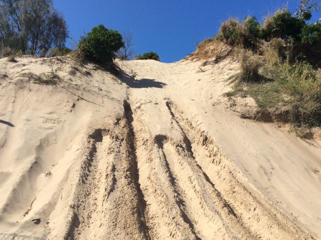 Image showing drivers attempt to scale steep dunes at Byfield, and cause damage.