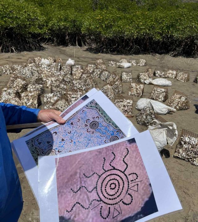 Hands holding a mock-up Indigenous art design on paper, with oyster baskets visible in the background.