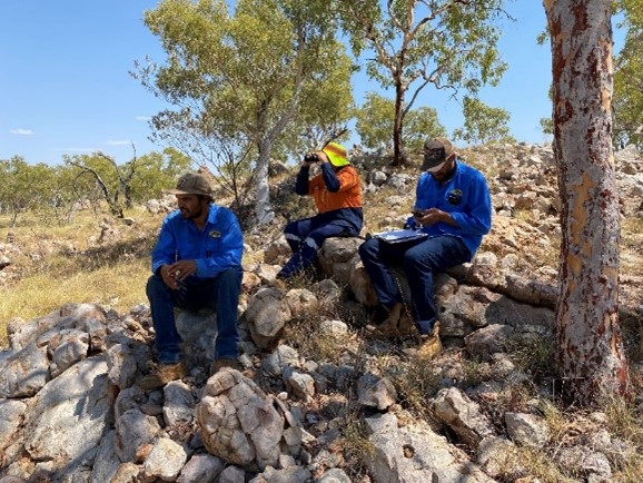 Three field workers sit among rocky terrain and sparse woodland while conducting wildlife monitoring, with one using binoculars and another recording observations on a clipboard.