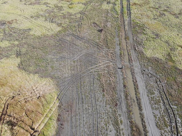 Photo of extensive damage caused to the Sandfly Creek Reserve near Townsville by vehicles.