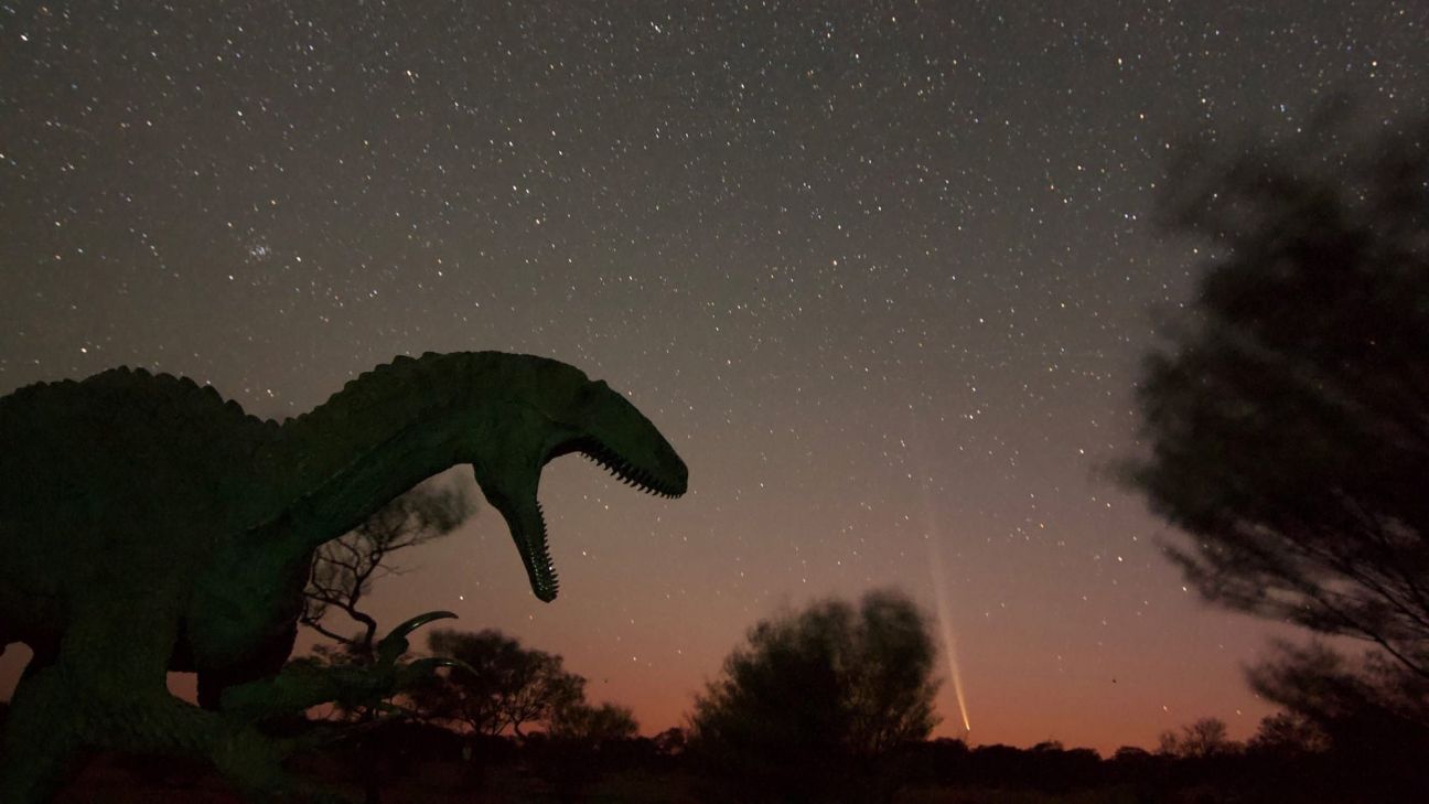 Silhouette of a large dinosaur sculpture with bared teeth set across a backdrop of a clear night sky with many stars.