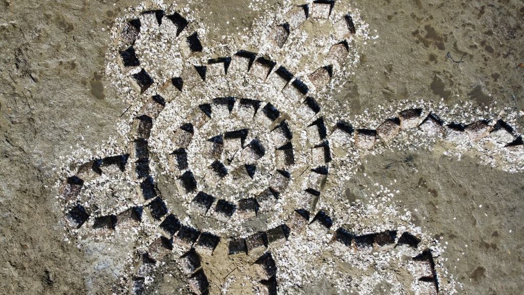 Aerial view of oyster baskets arranged into a circular design with curves and waved lines coming off the edge. The design is on a bank at low tide with no water coverage.