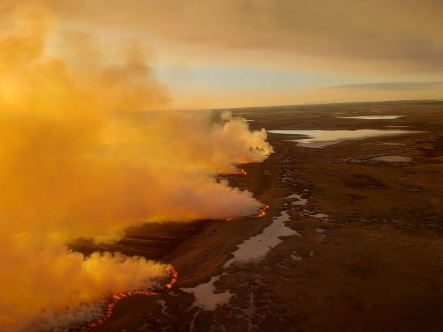 The fire is burning in the marine plain.