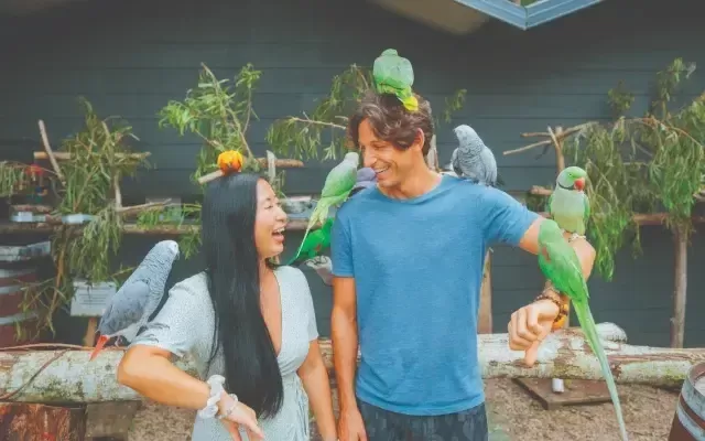 Young couple with parrots on their head and shoulders
