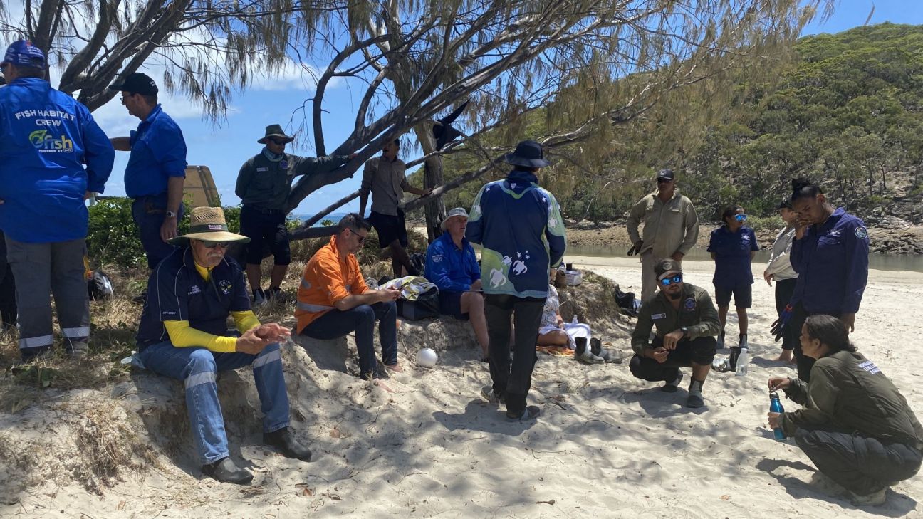  A group of rangers gathers under the shade of a tree on a sandy shore. They are wearing different types of outdoor apparel including branded long-sleeve shirts, hats, and hi-vis shirts.