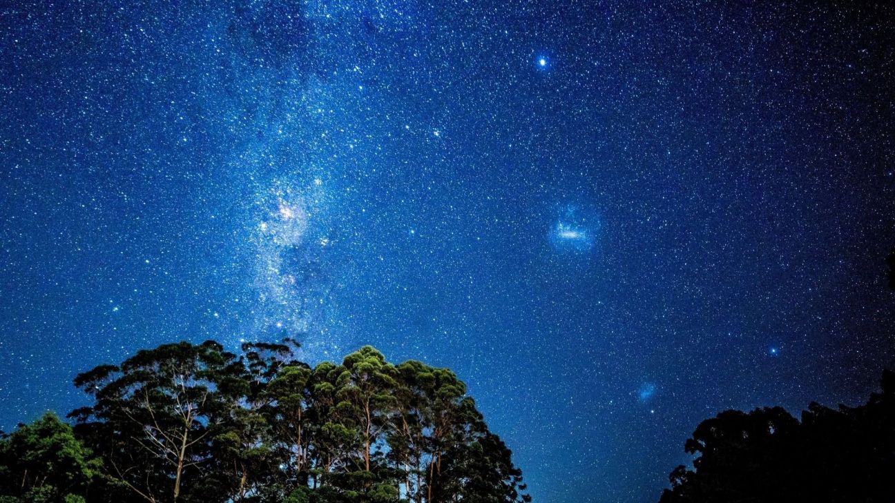 A dense canopy of trees is silhouetted beneath a brilliantly clear night sky filled with countless stars. The Milky Way stretches across the sky in bright blue and white tones, while several prominent star clusters shine above the treetops, highlighting the area's exceptionally dark conditions for stargazing.