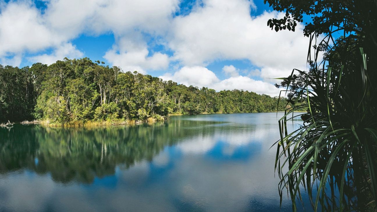 View over a crisp blue lake with a reflection of the tree-lined shore in it.