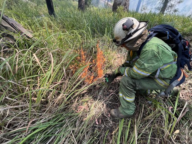 Photo of QPWS rangers strategically burning sections of Mount Barney National Park and nearby areas after working with neighbouring landholders.