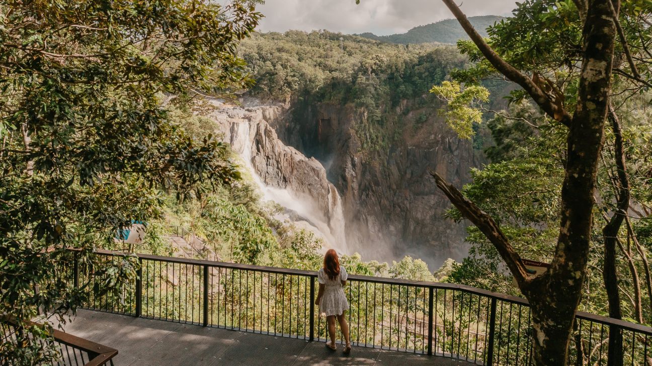 Rear vision of a woman on a wooden lookout platform. She is observing a large waterfall surrounded by dense rainforest.