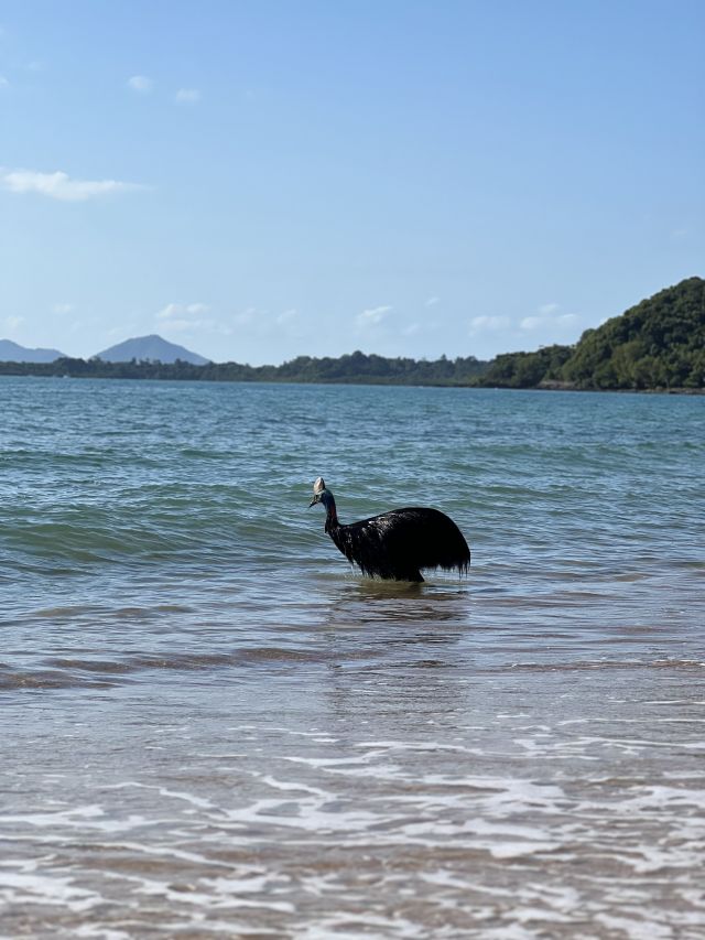The bird was exhausted after its swim and took a long rest