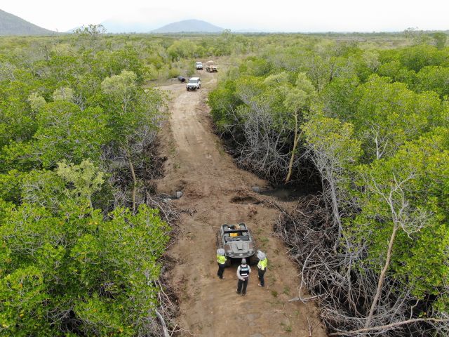The offender cleared almost 2km of internationally-protected wetlands in Bowling Green Bay National Park