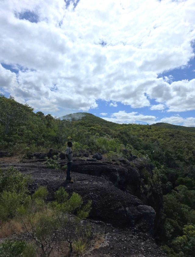 A planned burn on Cape York revealed previously undocumented artwork.