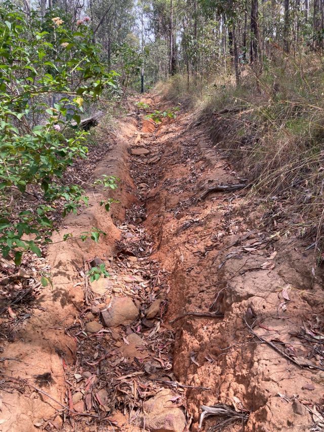Illegally riding trailbikes in national parks and State forests can cause major erosion issues.