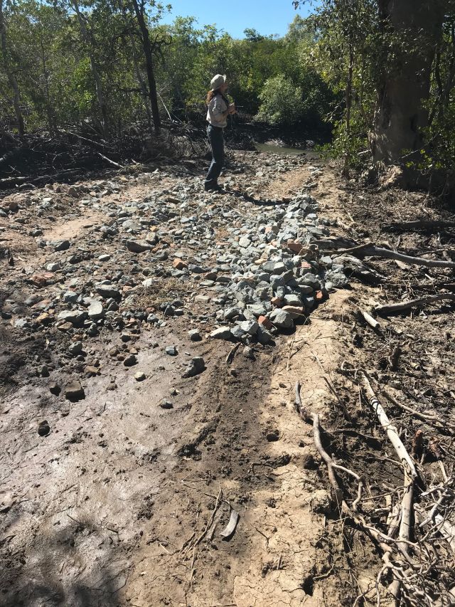 Experts say the wetlands will take years to recover