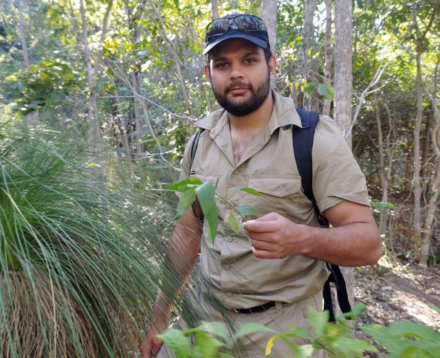 Photo of Ranger Hayden on Yunbenun (Magnetic Island), removing seedlings of the invasive species, siam weed, before it seeds to prevent further spread.