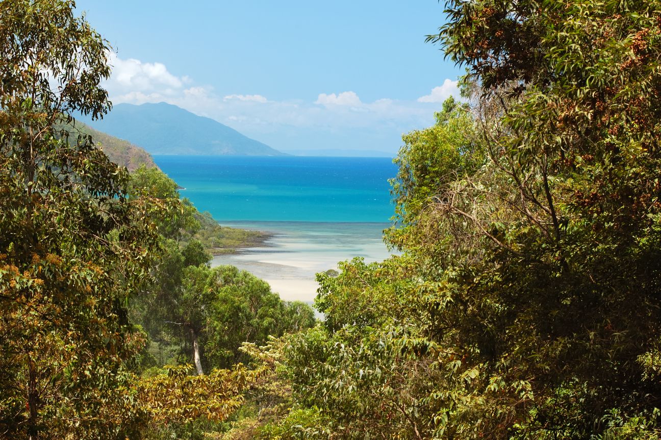 The Daintree National Park looking out over the water towards Cape Tribulation and the Stingray Beach