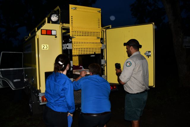 The quolls were assessed by a vet before their release.