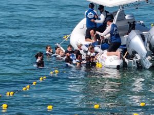Sea World and Queensland Parks and Wildlife Services worked together to rescue the dolphin before returning it to Moreton Bay.