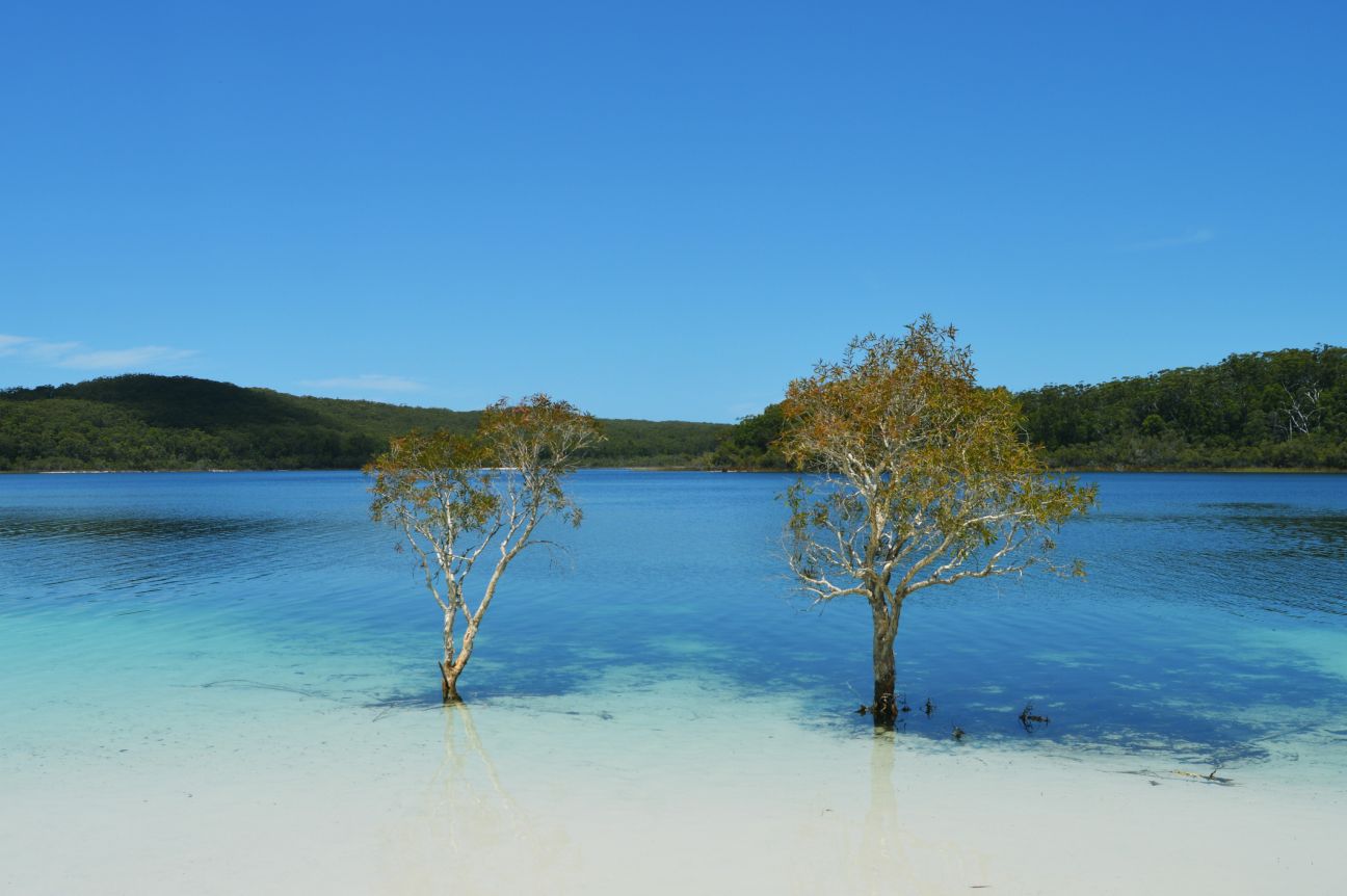 A pristine, cloudless shot of freshwater Lake McKenzie on K’gari (Fraser Island), Queensland Australia