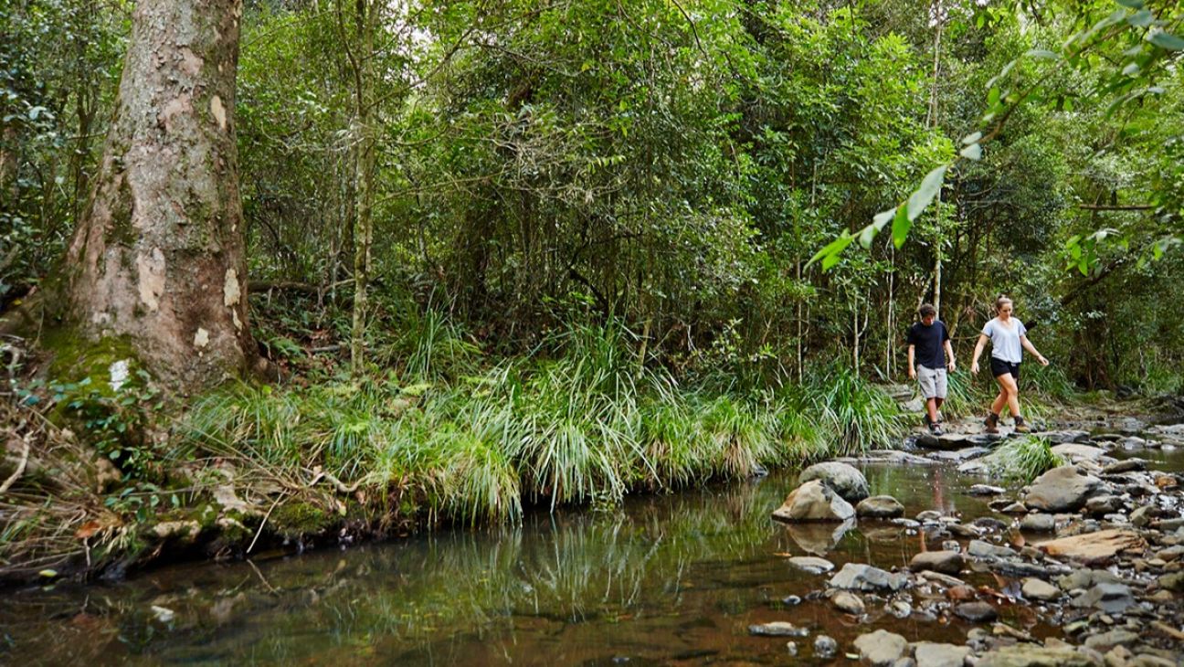 Bushwalking Qld 10 must-know safety tips for bushwalking and hiking in Queensland ...