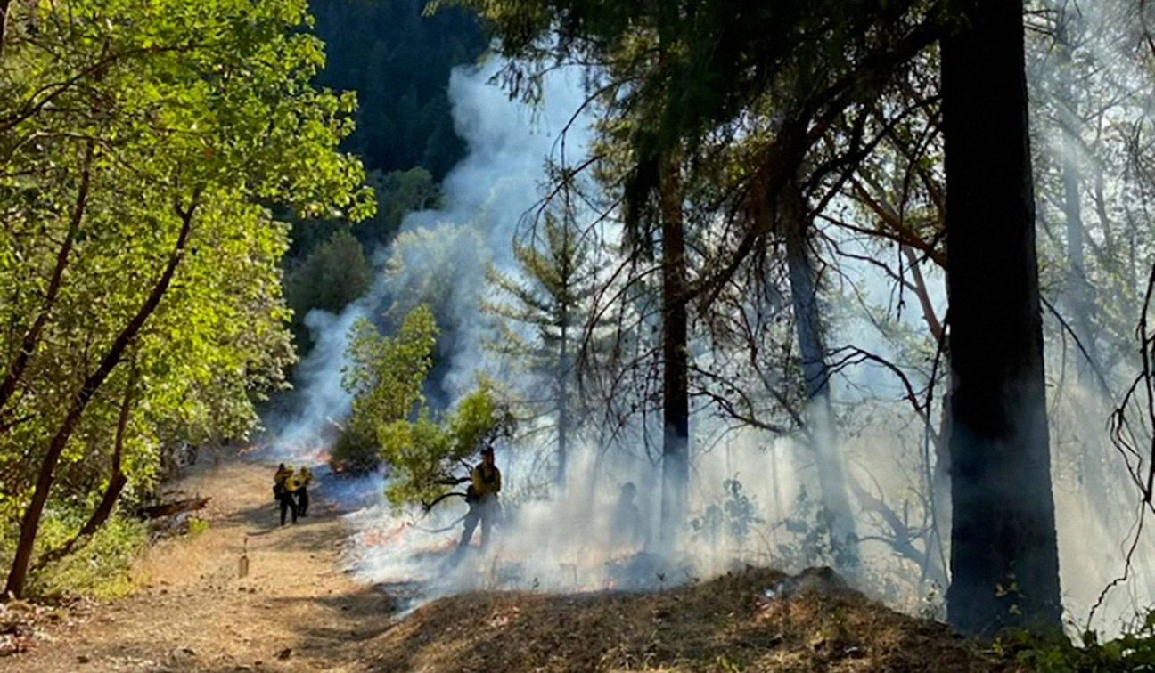 Photo of cultural burning on Karuk country.