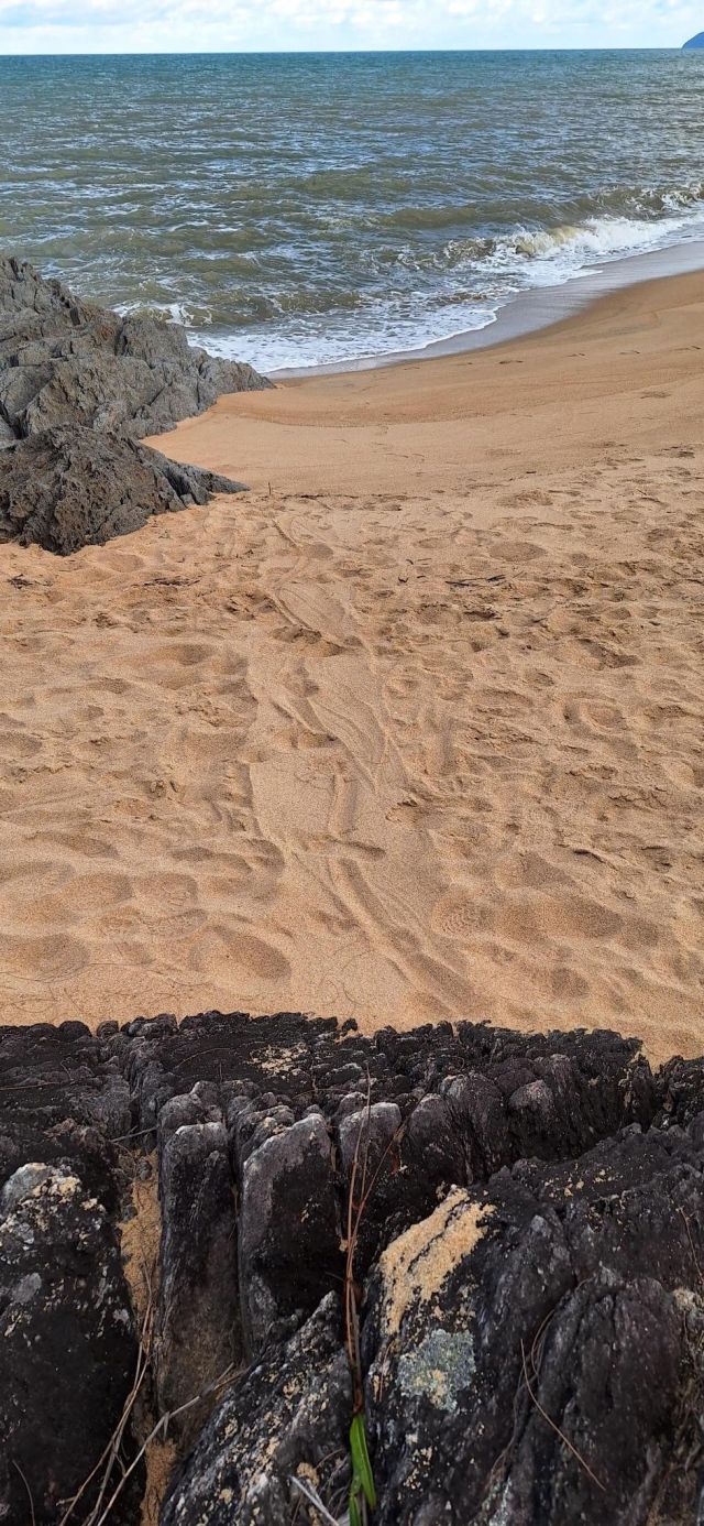 Photo of the slide mark left by the crocodile at Bramston Beach