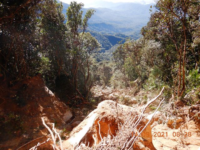 Mount Bartle Frere landslip
