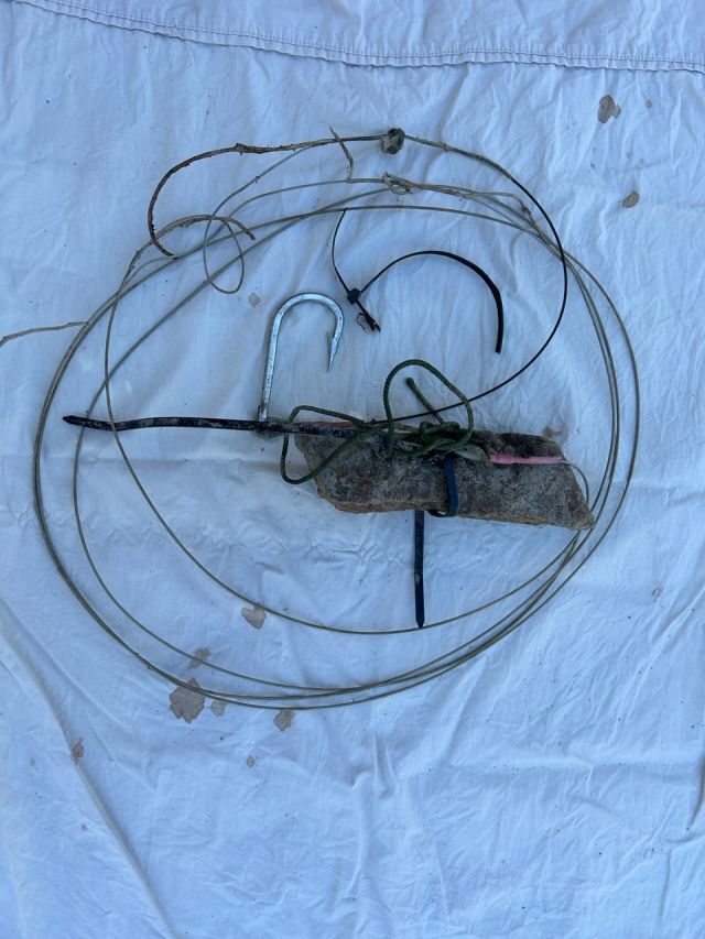 The hook was removed from the animal's digestive tract.