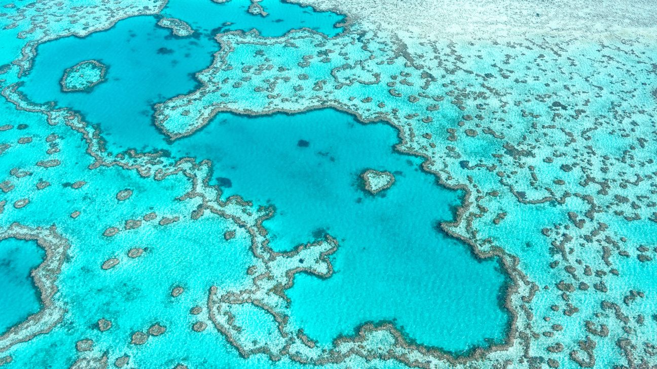 Aerial view of the Great Barrier Reef in the Whitsundays, notably the famous love heart reef