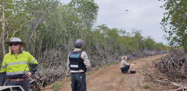 DESI and DAF jointly investigated the unlawful destruction