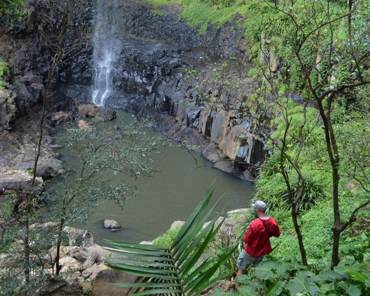 A person on the edge of a natural spring looking out to a waterfall surrounded by lush rainforest.