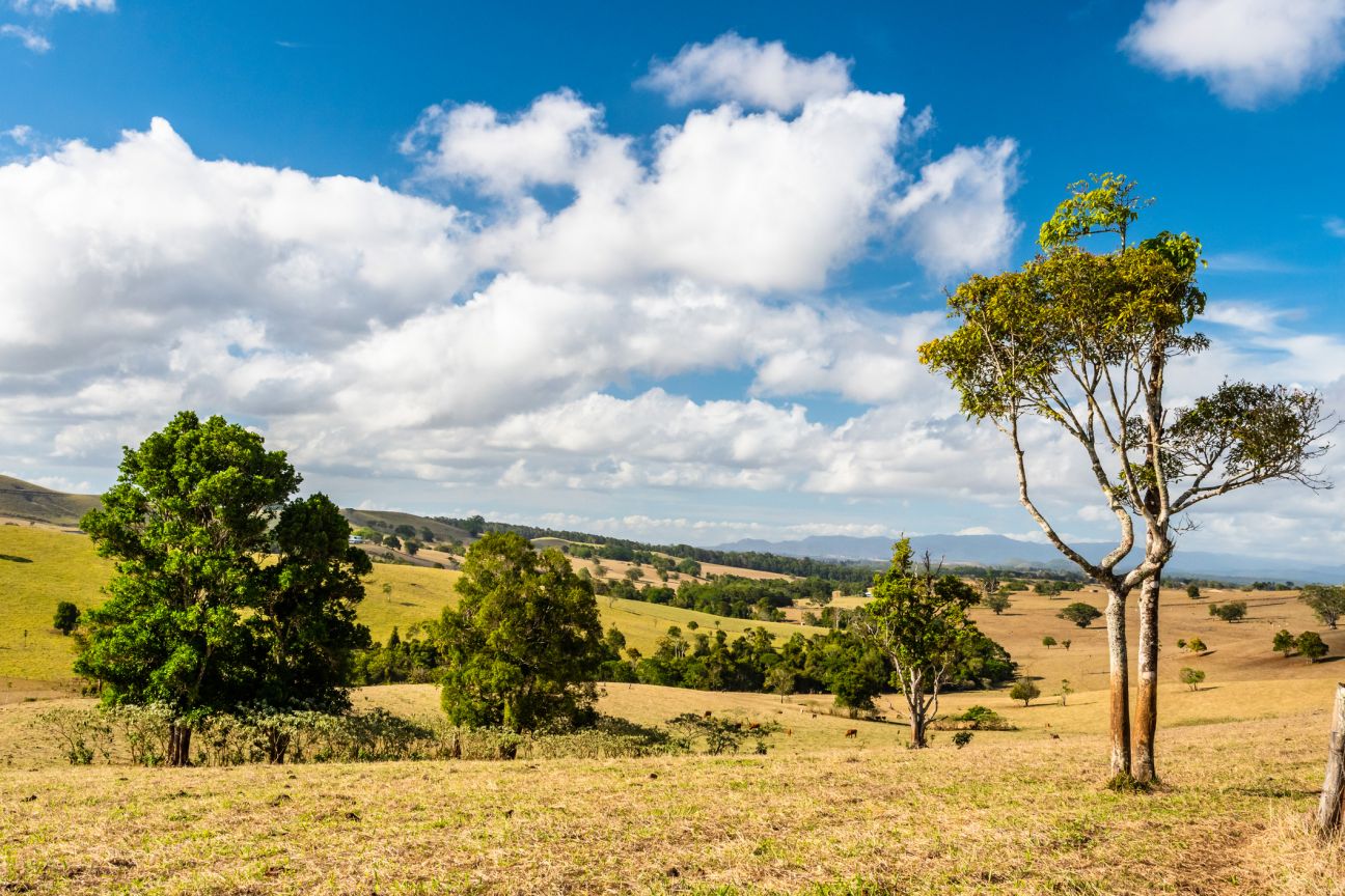 Photo of Queensland countryside landscape in the dry season illuminated by the afternoon sun.