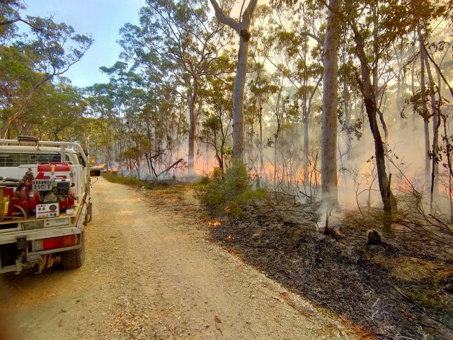 Photo of planned burn to reduce the impacts of bushfires on key environmental areas.