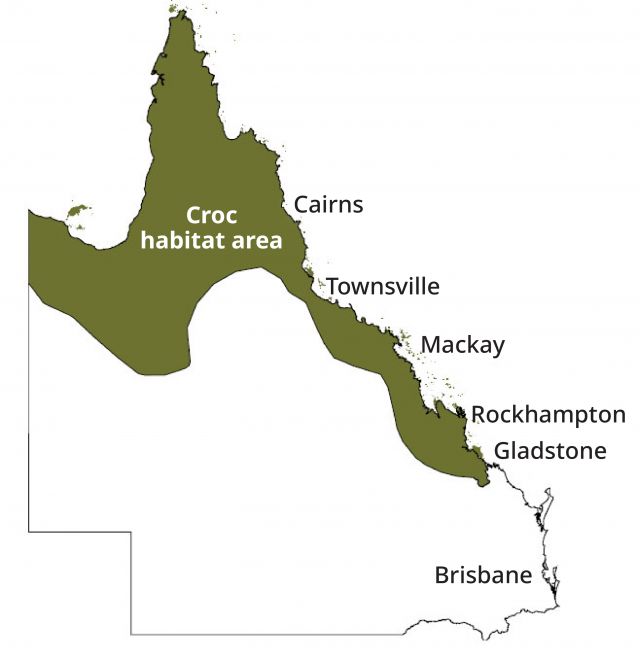 Graphic outline of a map of Queensland with crocodile habitats coloured in green and the text “Croc habitat area” overlaid.