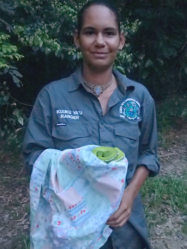 Photo of a Kuuku Ya'u ranger holding a snake which was released into the wild