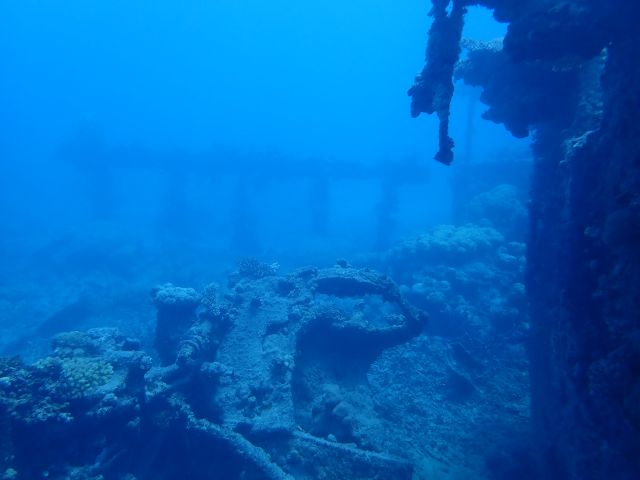 An underwater photo of the Gothenburg shipwreck