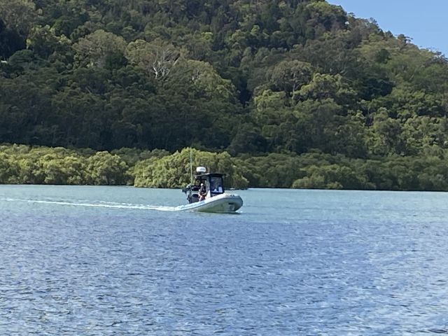 Rangers are continuing the investigation following at crocodile sighting report at Minjerribah.